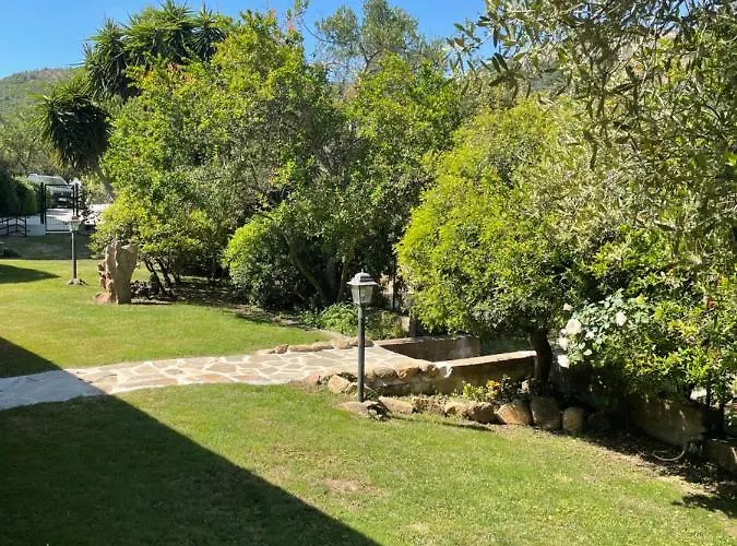 Oda ve Kahvaltı Domo Minnannu Miriu Trudda