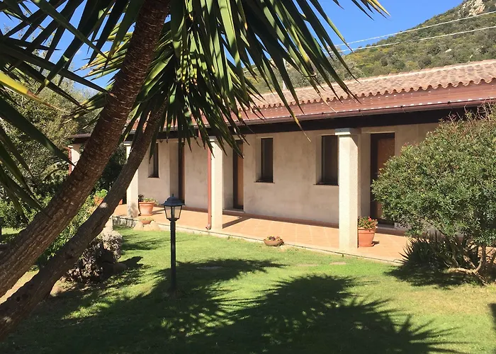 Oda ve Kahvaltı Domo Minnannu Miriu Trudda